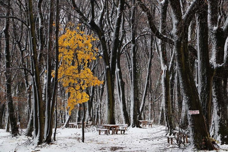 Sneg na Fruškoj Gori