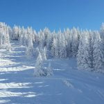 Snežna idila na Kopaoniku - 21. decembar 2017