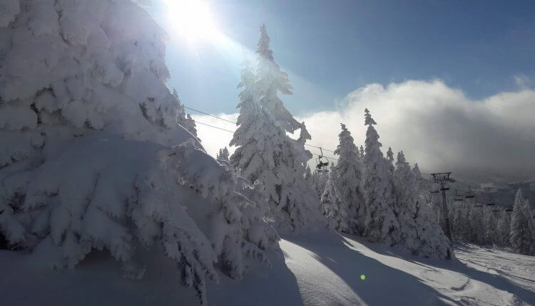 Snežna idila na Kopaoniku (4) - 21. decembar 2017