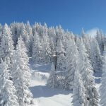 Snežna idila na Kopaoniku (5) - 21. decembar 2017