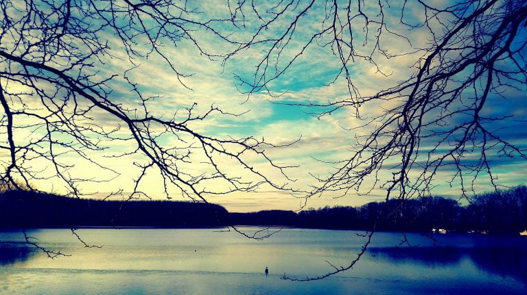 Bačka Palanka - januar 2018