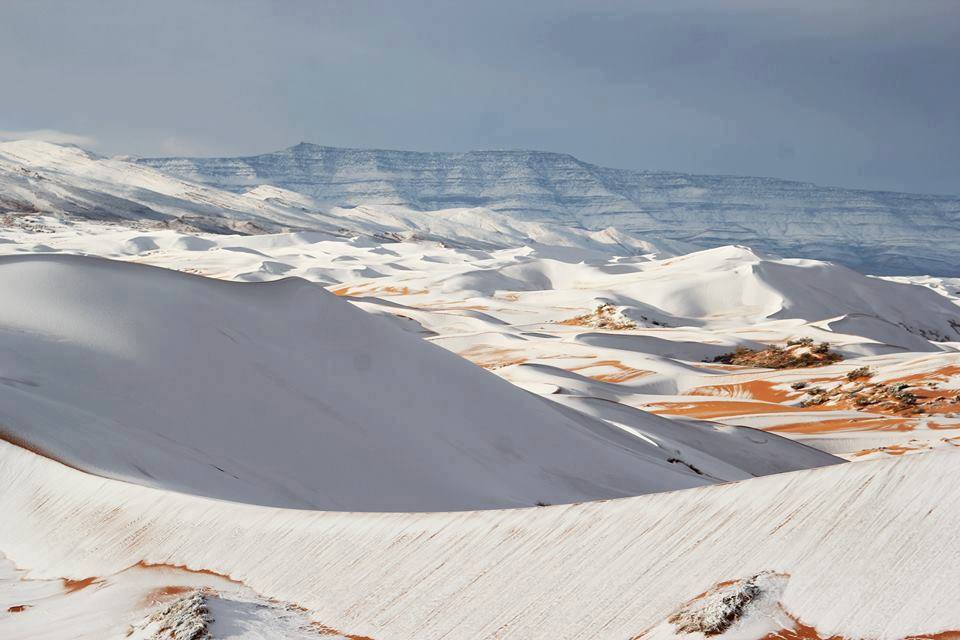 Sneg u Sahari (Alžir)