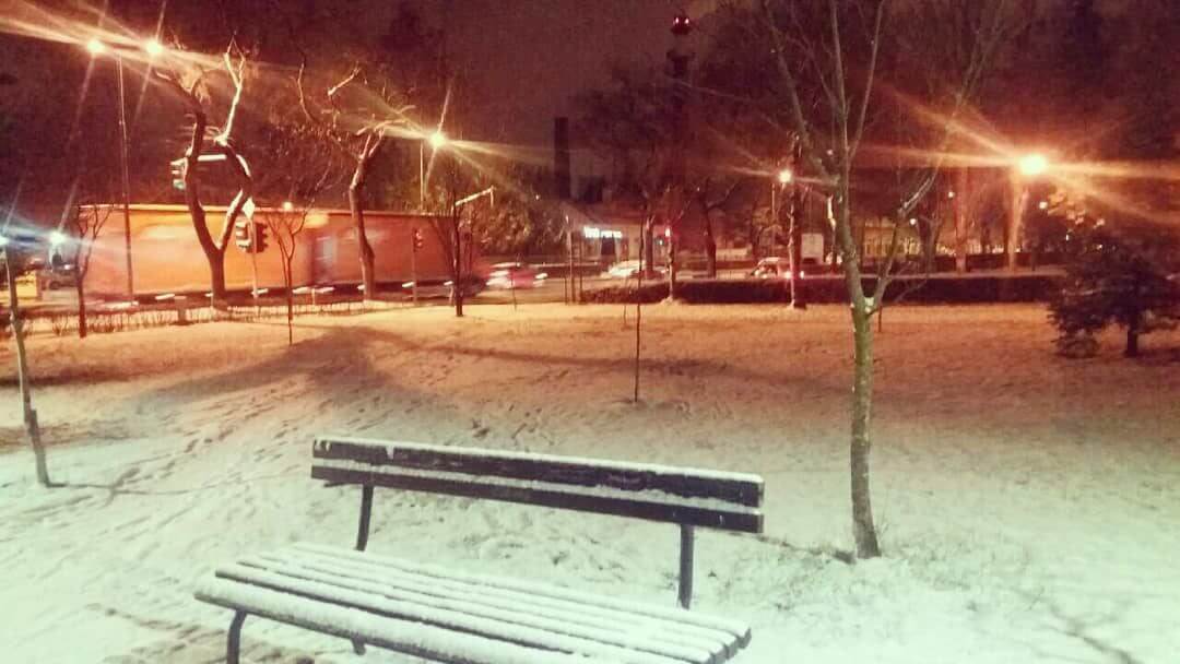 Sneg u Subotici - 15. januar uveče