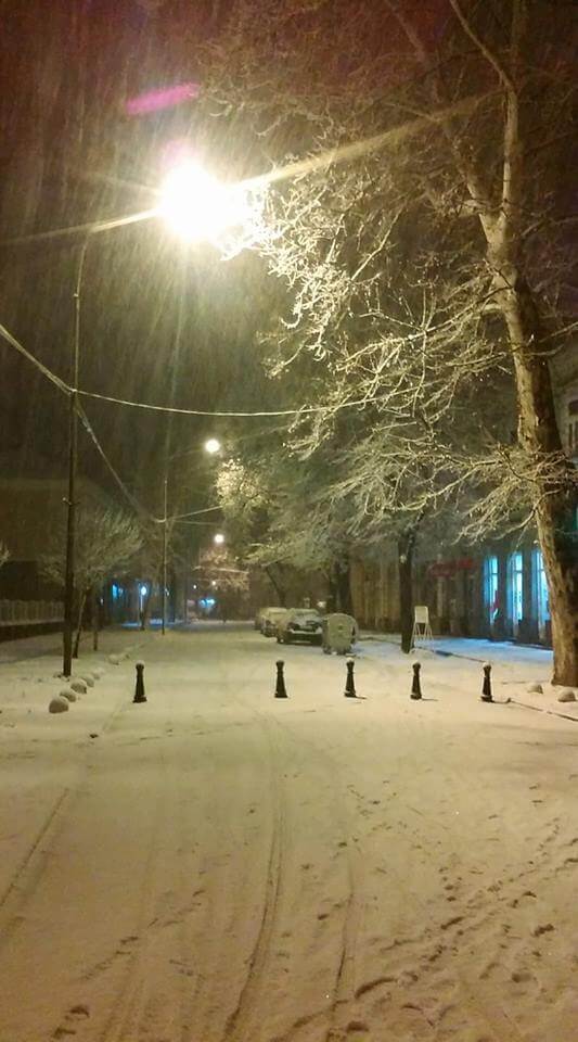 Sneg u Novom Bečeju - 20. feb 21h