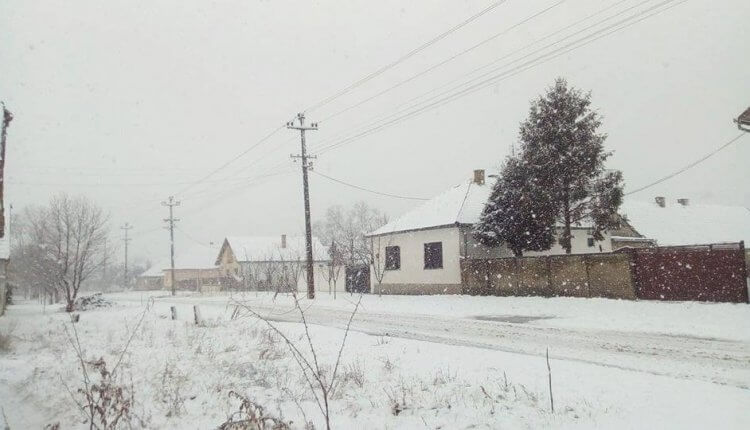 Sneg u Stanišiću (3) - 3. feb 2018