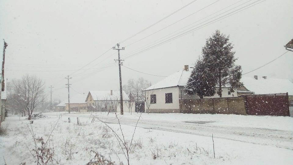 Sneg u Stanišiću (3) - 3. feb 2018