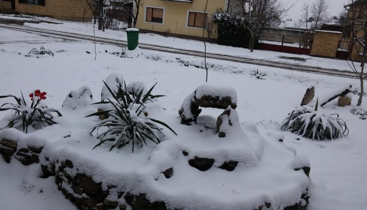 Sneg u Sivcu (2) - 19. mart 2018