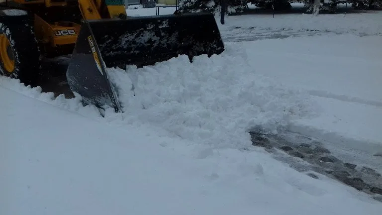 Sneg u Zrenjaninu - 23. mart 2018