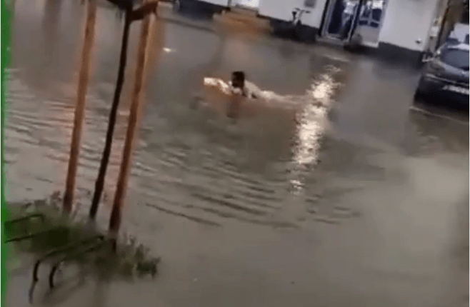 Čovek pliva ulicom u Futogu