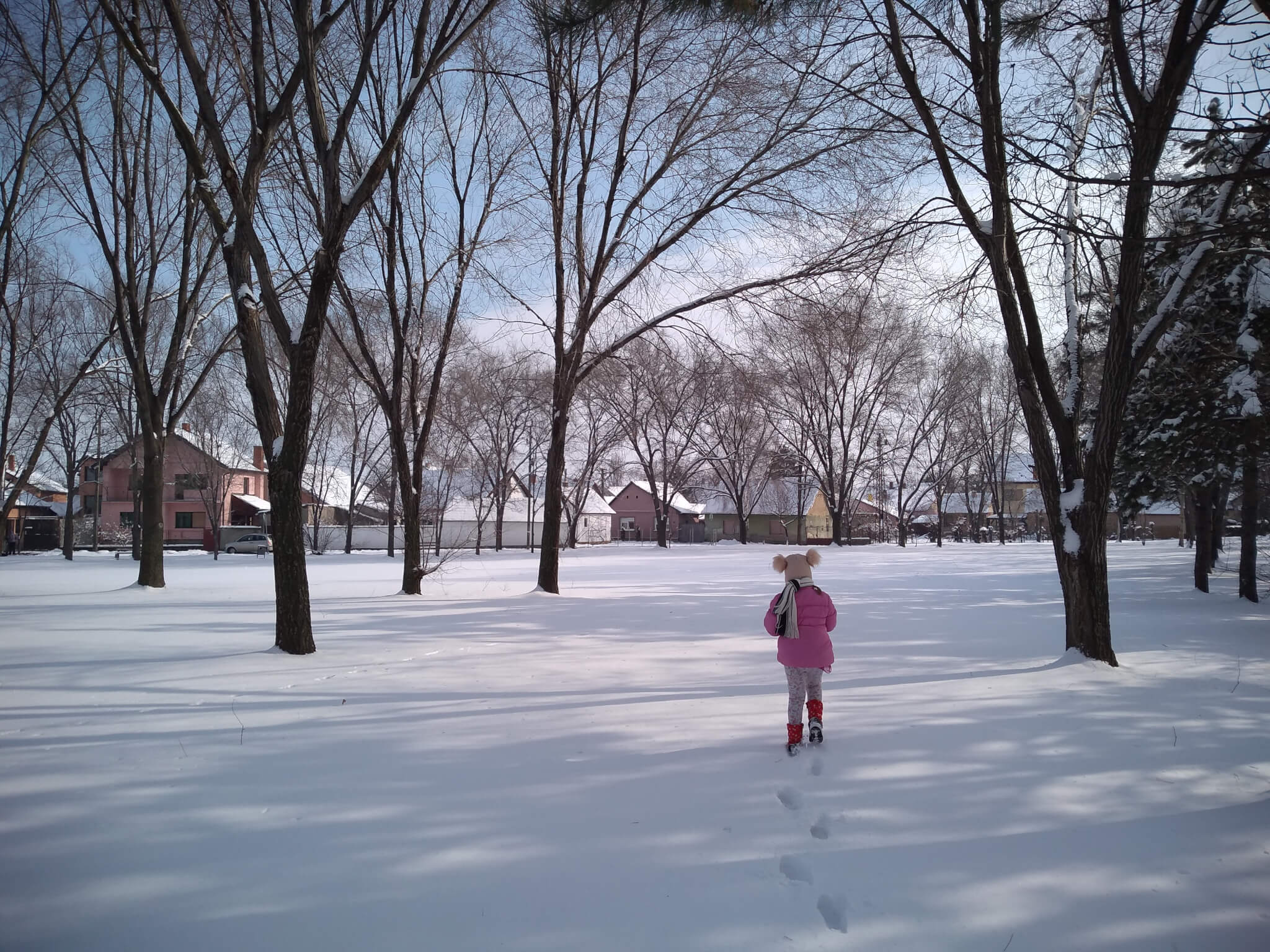 Sneg je osvojio i Vrbas 2019 (Foto: Ana Grujin)
