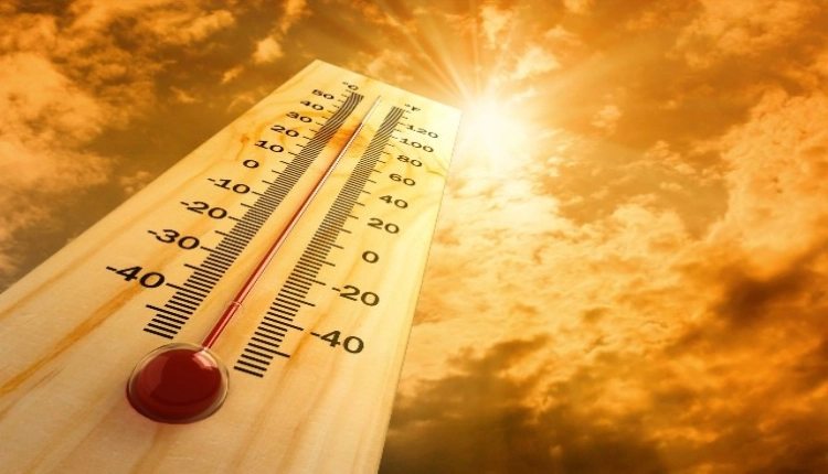 Visoke temperature (Foto: Shutterstock)