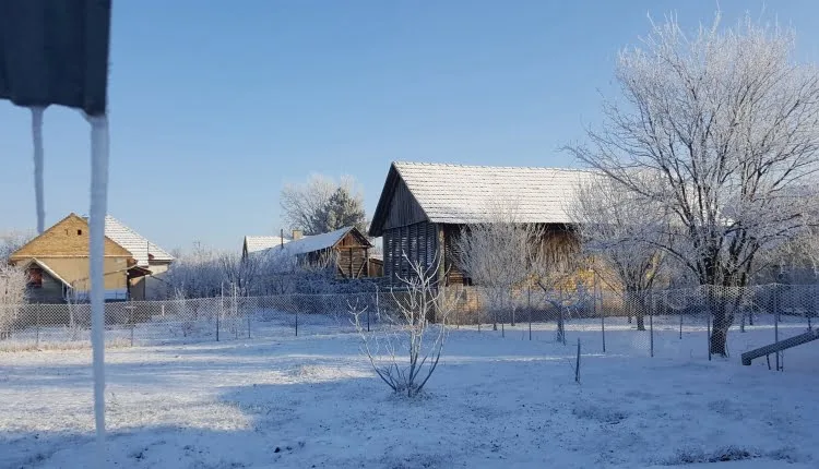 Ledeno jutro u Temerinu (Foto: Varga Zoltan)