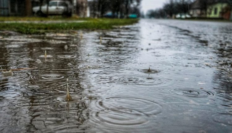 Današnja kiša u Kucuri
