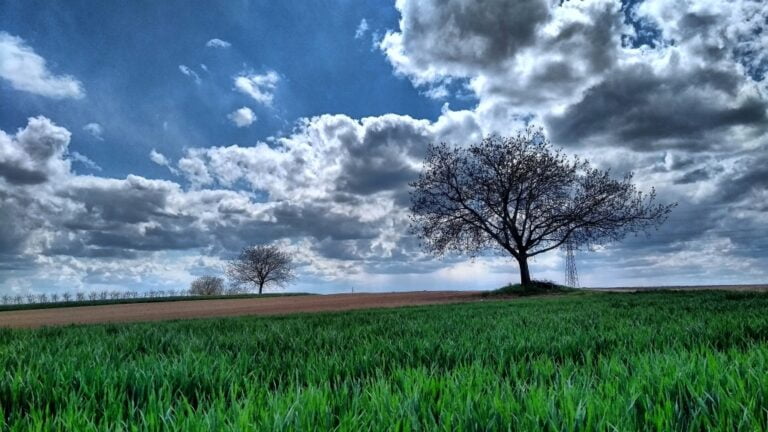 Promenljiv april u Maradiku (Foto: Geza Vince)