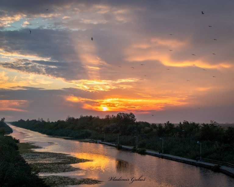 Nedeljno svitanje na kanalu DTD u Kucuri (Foto: Vladimir Gubaš)