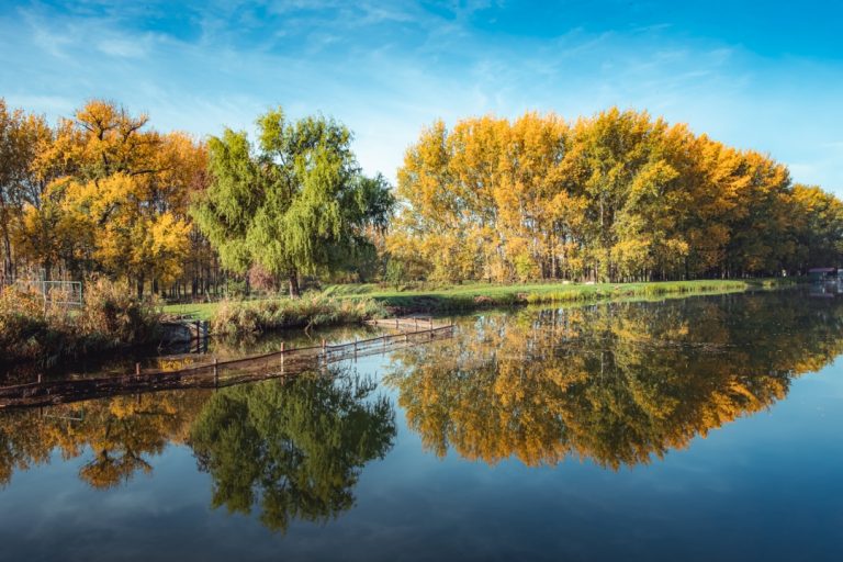 Pravo jesenje vreme u nastavku novembra (Foto: Vladislav Tot)