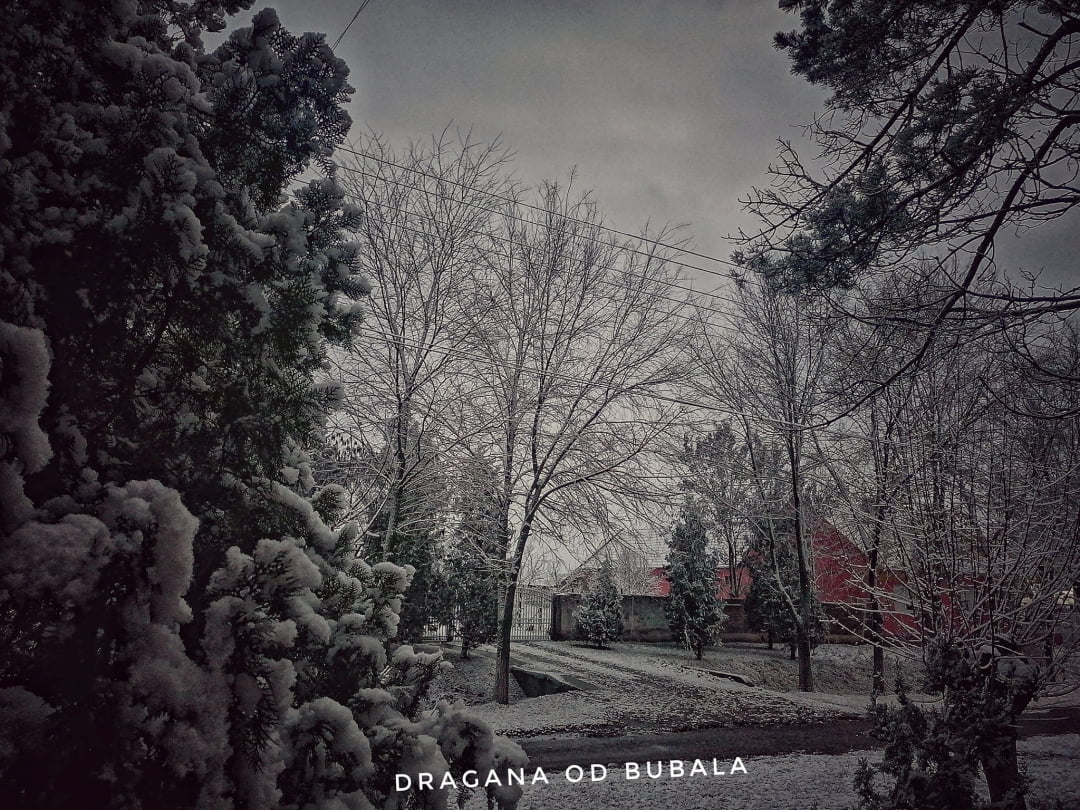 Prvi sneg u Aleksandrovu decembar 2022 (Foto: Dragana Bubalo)