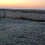 Februarsko mrazno jutro u Šajkašu (Foto: Radoslav Panic)