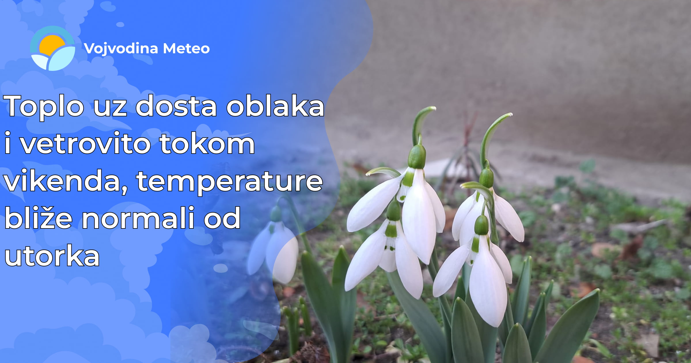 Najava za drugu dekadu februara (Foto visibaba u pozadini: Ksenija Marijanusic)