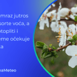 Umeren i jak mraz naneo štetu ranim sortama - prognoza vremena za kraj marta (Foto: Vladimir Gubaš)