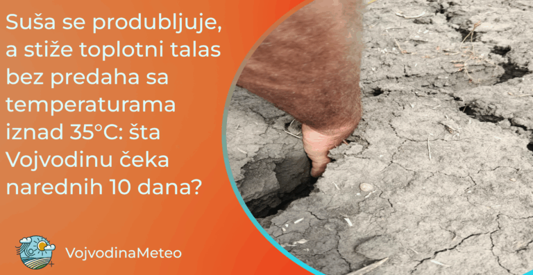 Uskoro novi tropski talas uz nastavak suše na širem području (Foto: Mokrinski atar ; Jovan Janić)